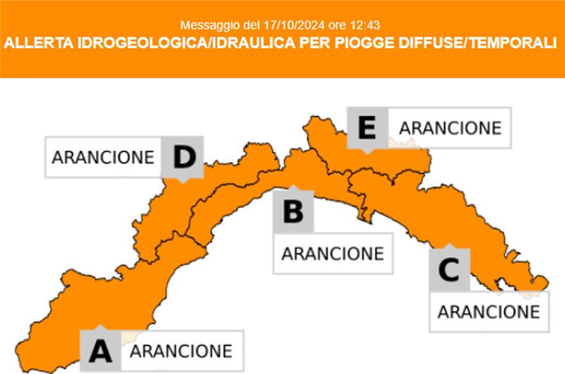 allerta meteo