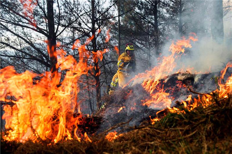 DECRETO DICHIARAZIONE STATO DI GRAVE PERICOLOSITA' INCENDI BOSCHIVI