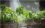 orto uso irriguo acqua