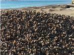 granita materiale spiaggia